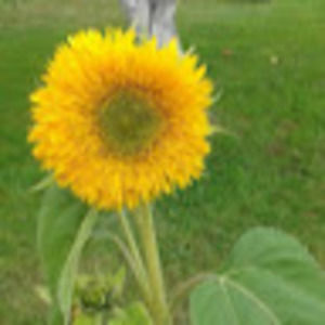 Meet your Posher, Cristina